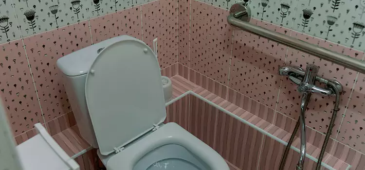 Meeting Diverse Needs With Accessible Restroom Solutions in Chicago, IL